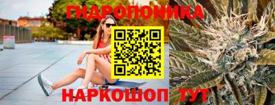 гашик Нальчик