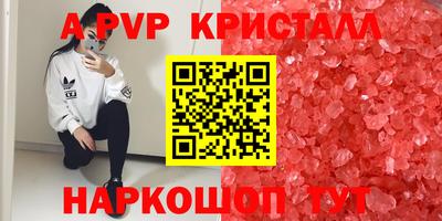 гашик Нальчик