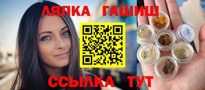 гашик Нальчик