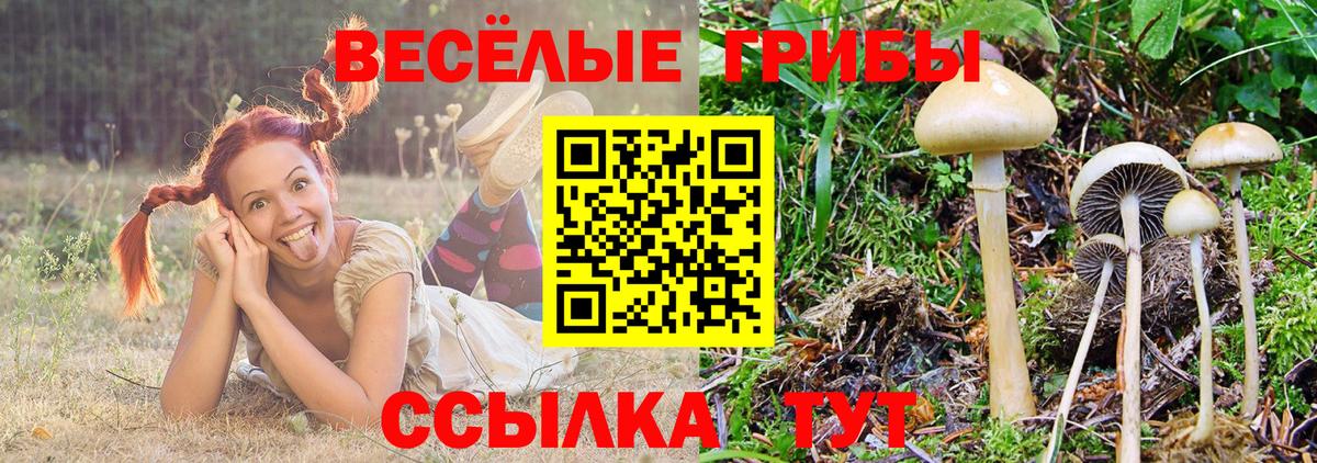 Советск  Галлюциногенные грибы MAGIC MUSHROOMS  Вход с VPN 